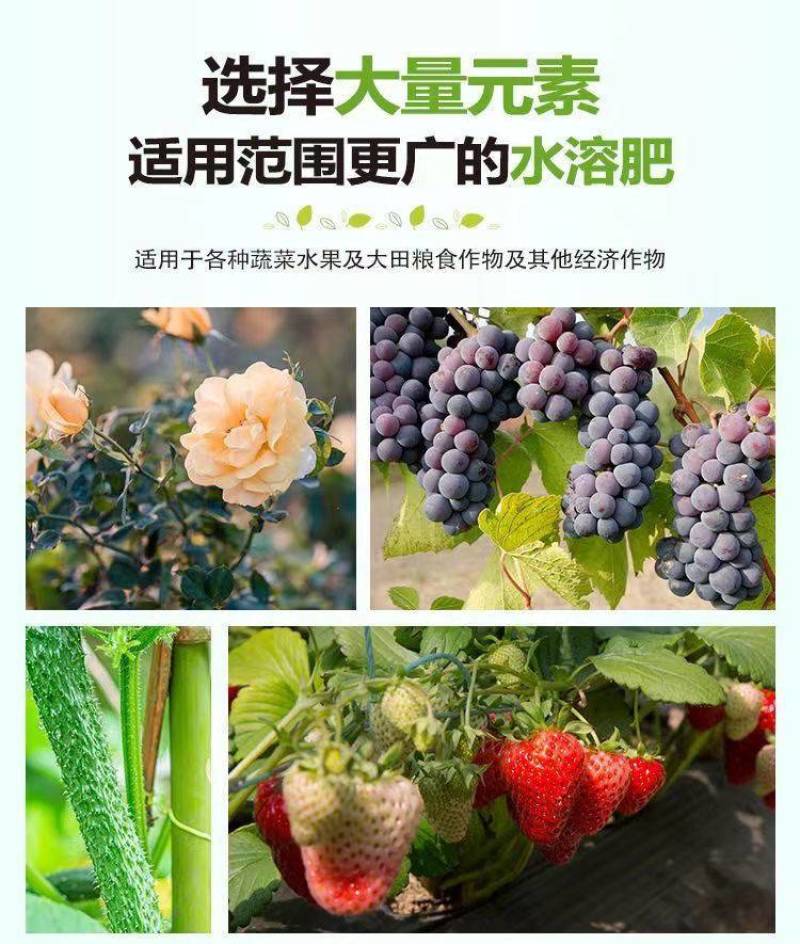 水溶肥平衡型蔬菜瓜果树大棚专用冲施肥澎果厂家直销大量