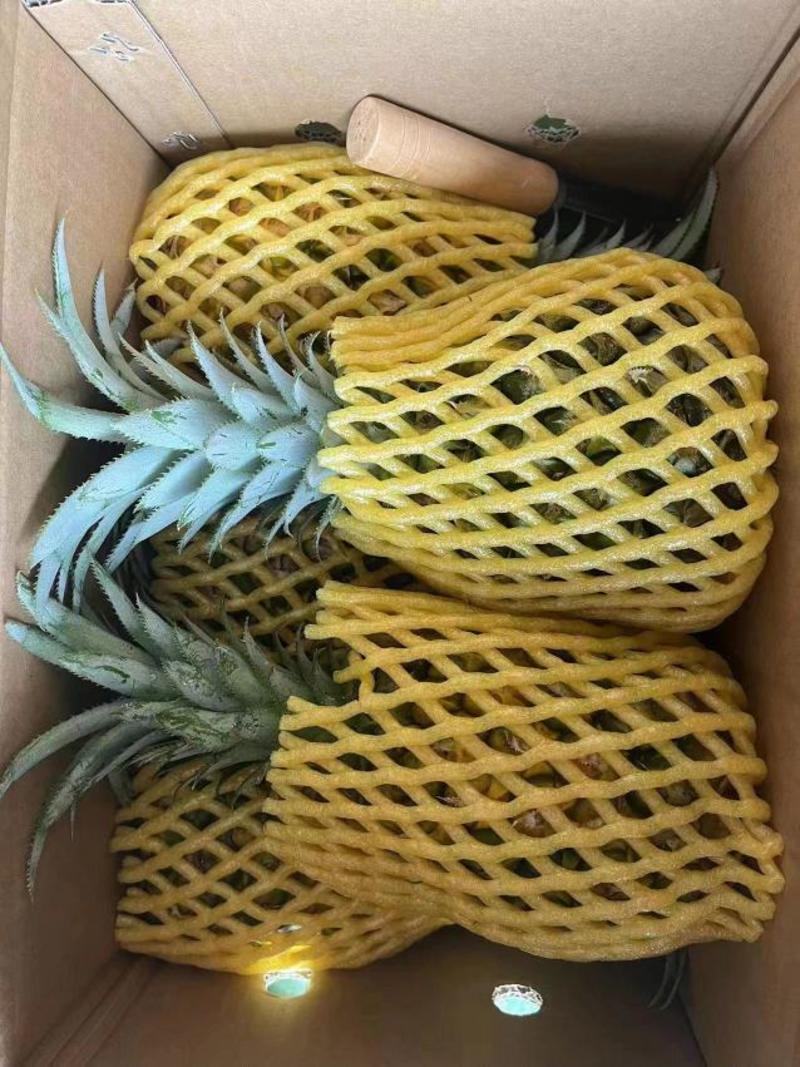 徐闻香水菠萝新鲜水果整箱菠萝爆非凤梨手撕菠萝批发一件代发