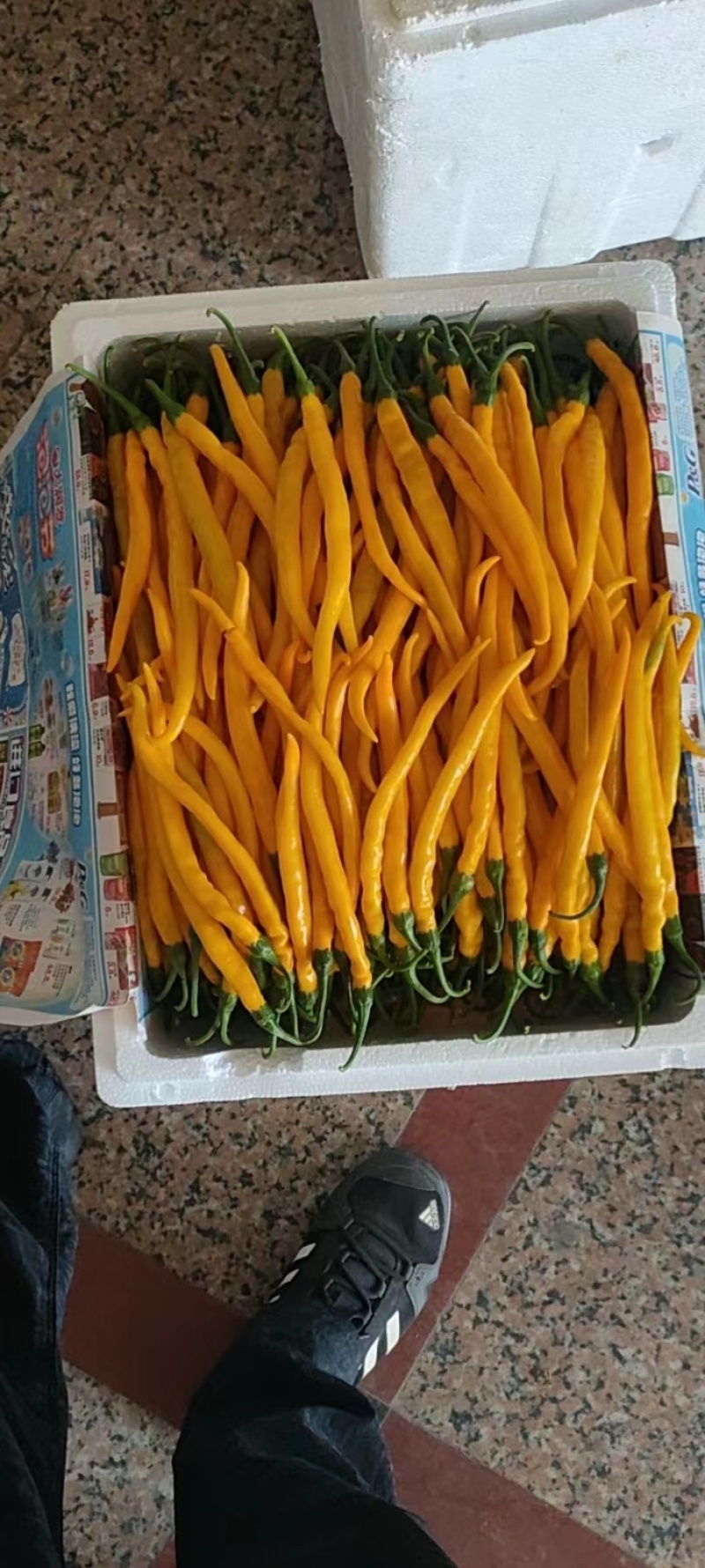 黄贡椒，基地种植，产品质量稳定