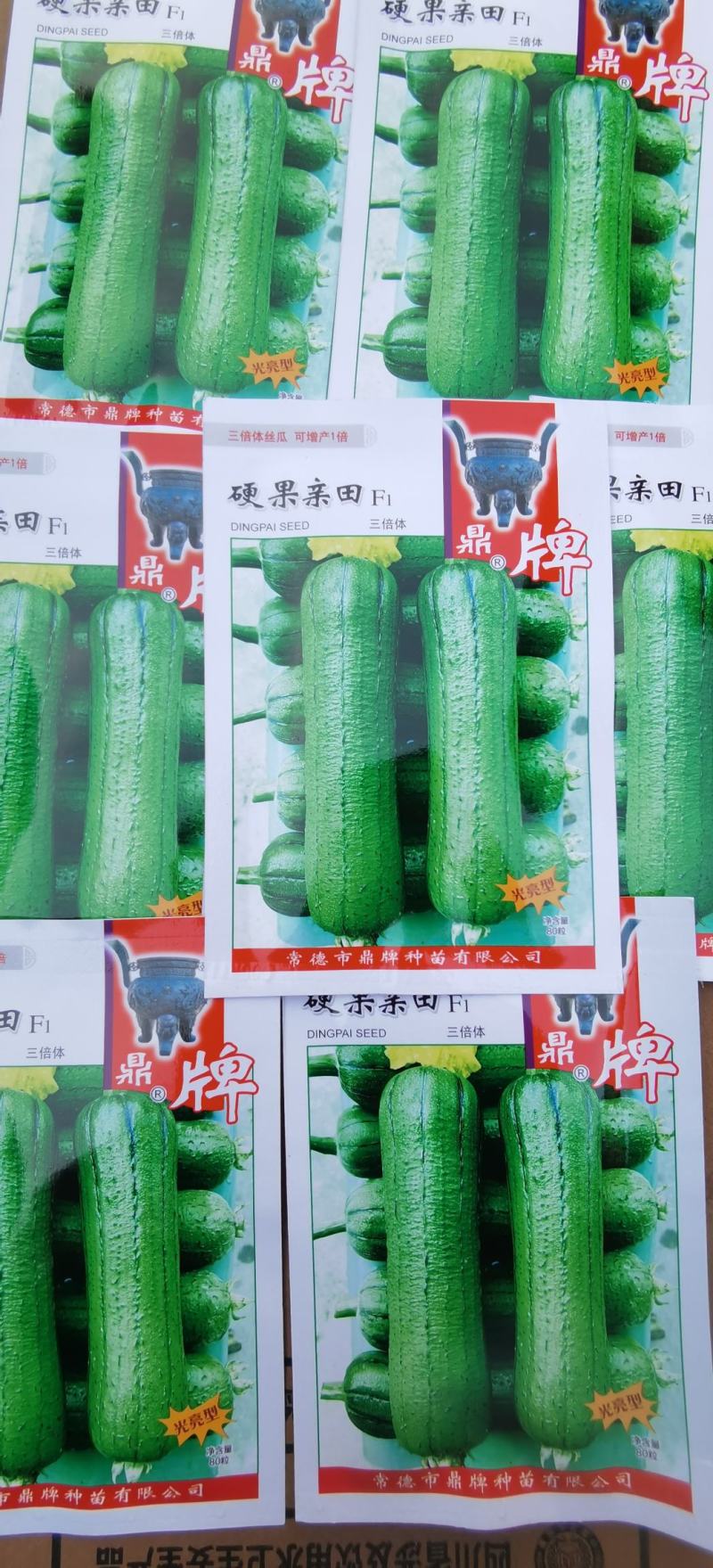 丝瓜种子硬果亲田鼎牌新型三倍体杂交种增产一倍