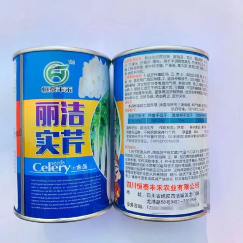 皇后西芹种子品种纤维少大田种植品种种子