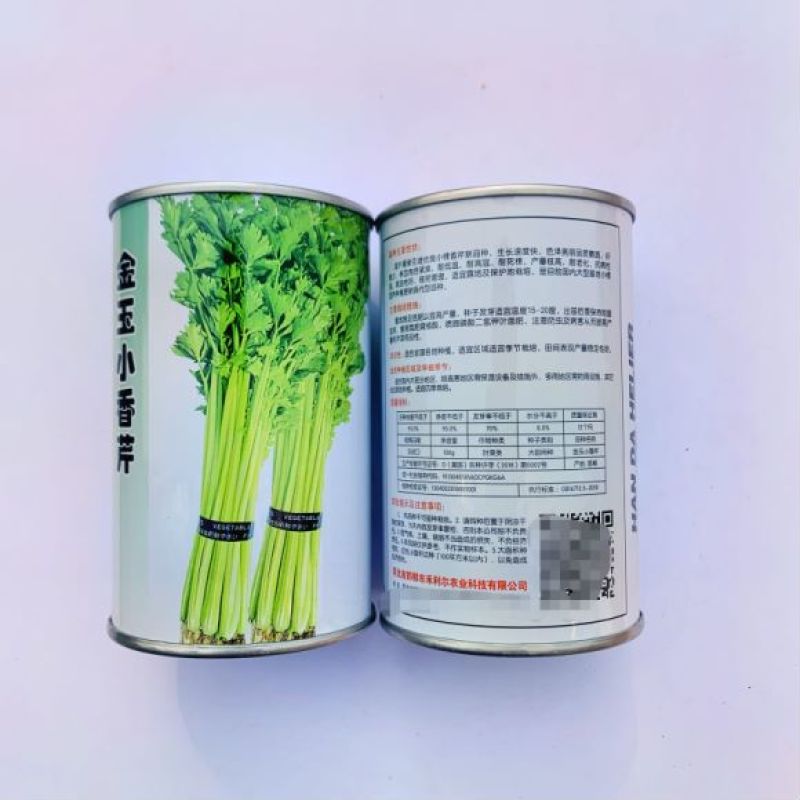 皇后西芹种子品种纤维少大田种植品种种子