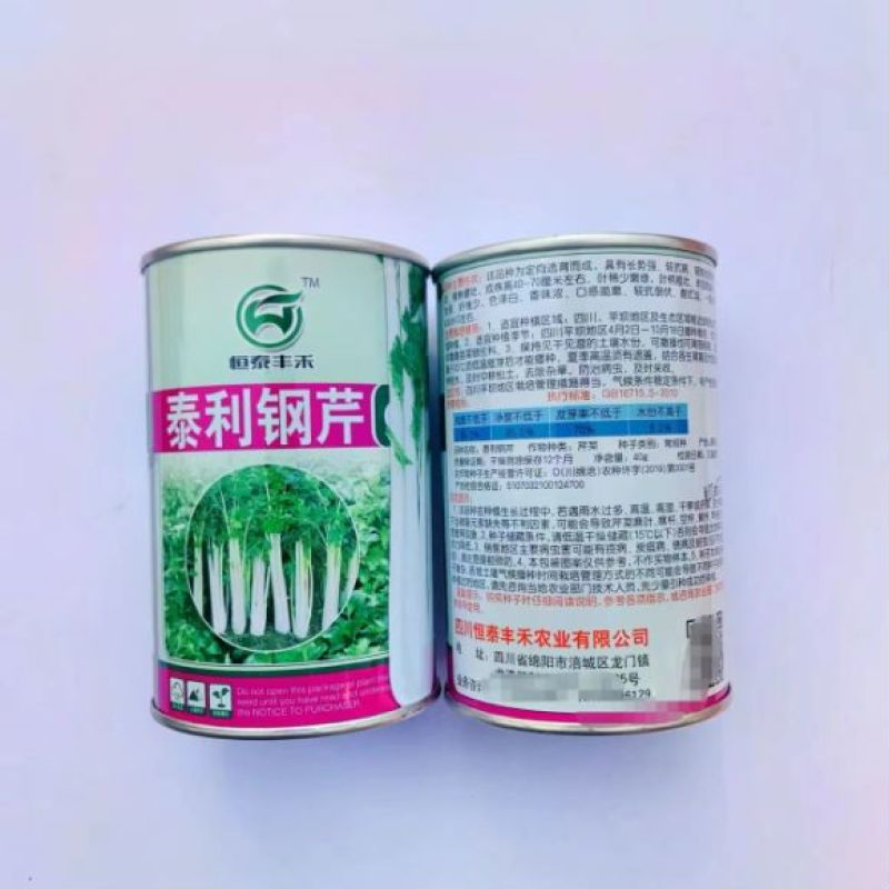 皇后西芹种子品种纤维少大田种植品种种子