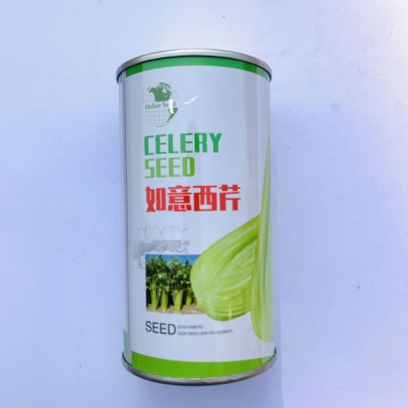 皇后西芹种子品种纤维少大田种植品种种子