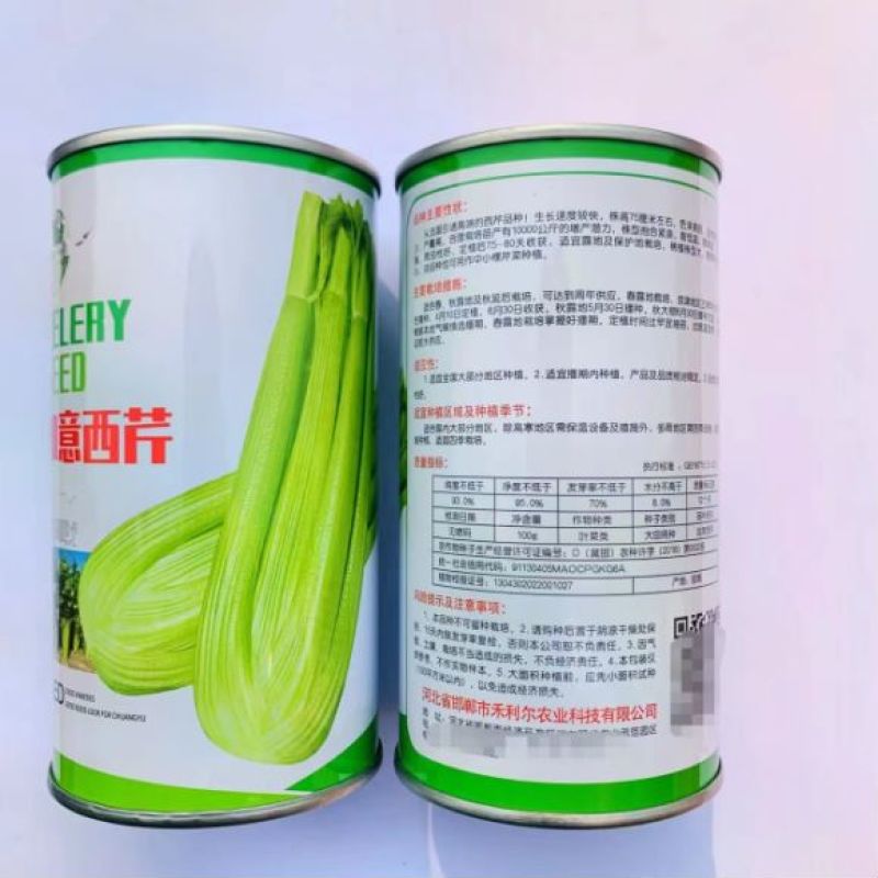 皇后西芹种子品种纤维少大田种植品种种子
