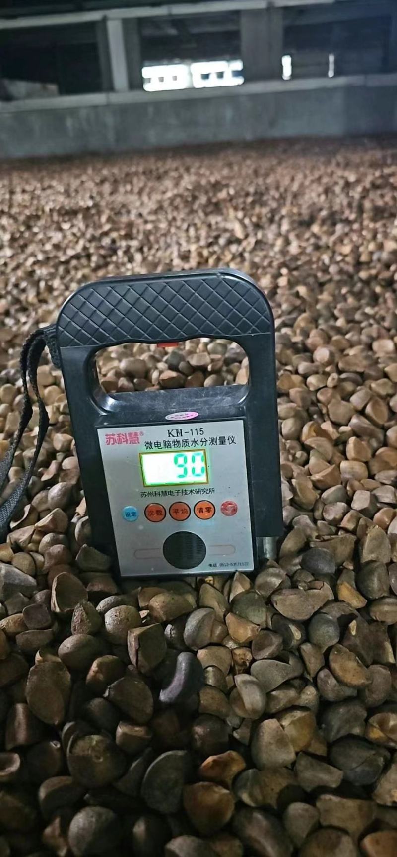 油茶籽茶籽茶油三角籽越南进口