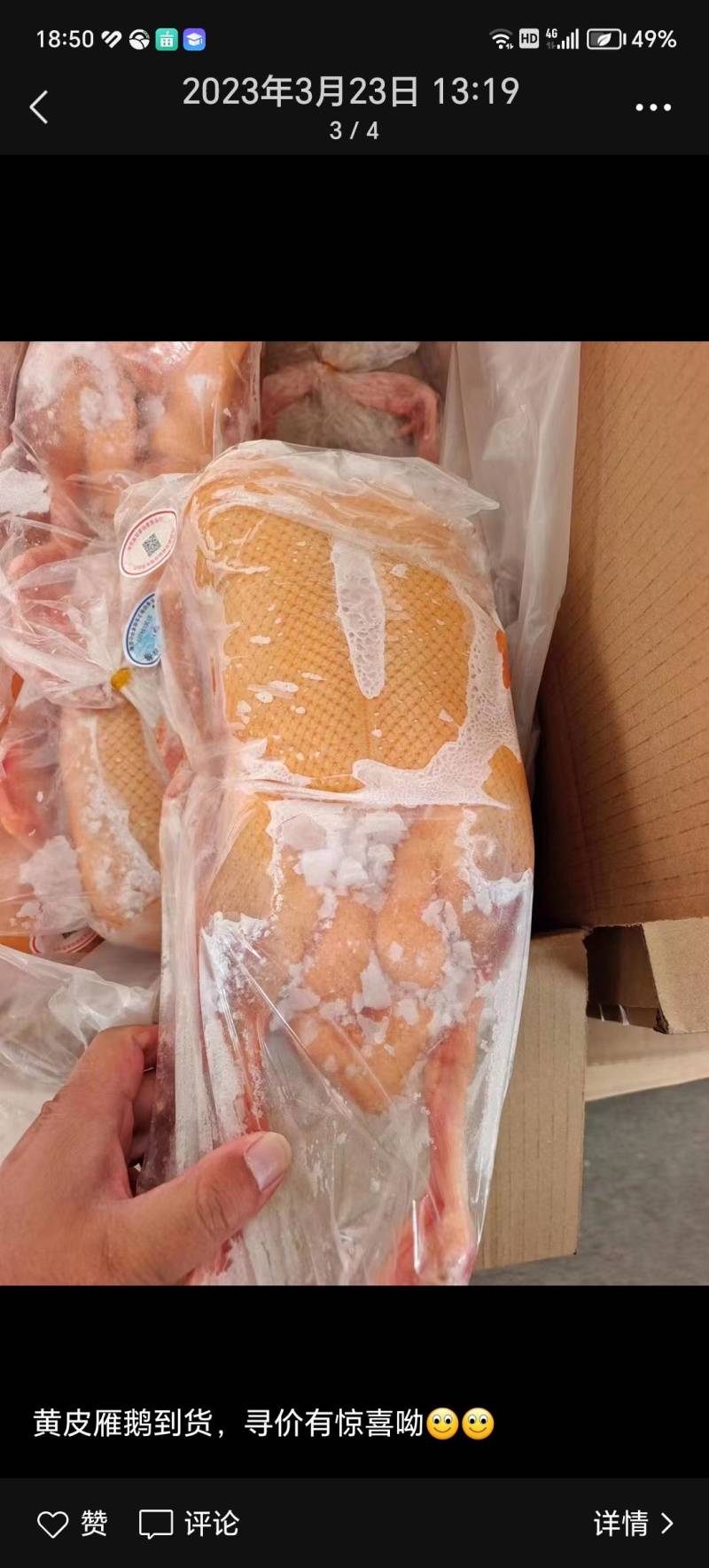 黄皮鸭