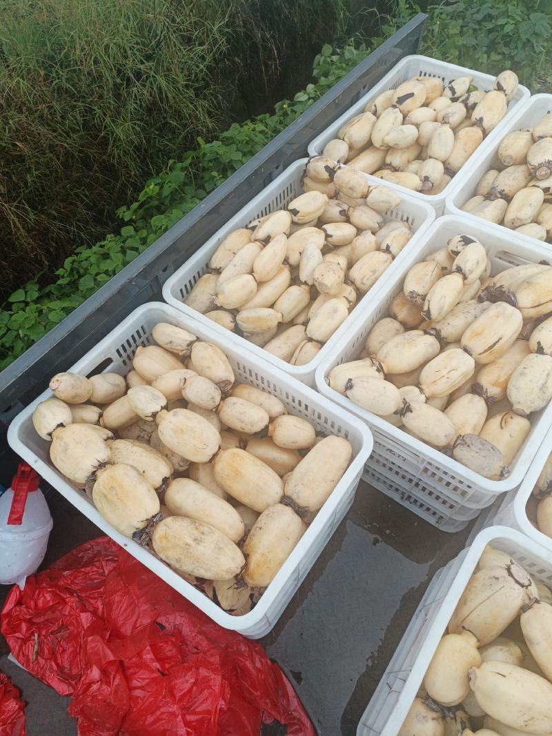 精品35数量不多欢迎滴滴