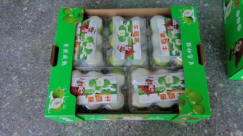 福建漳州青枣牛奶基块，超市，批发场地直采上，欢迎采购