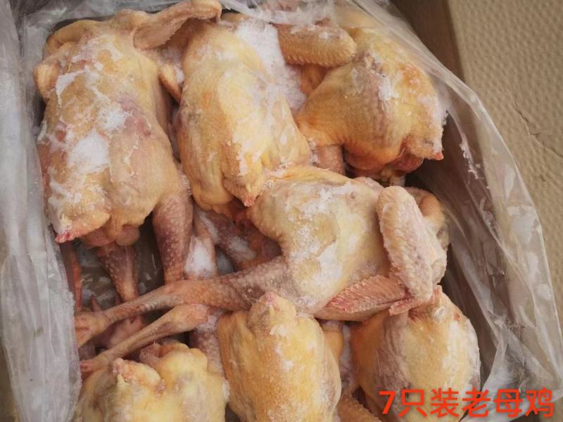 【全净堂干货老母鸡7、8、9、10、11只装】规格齐全