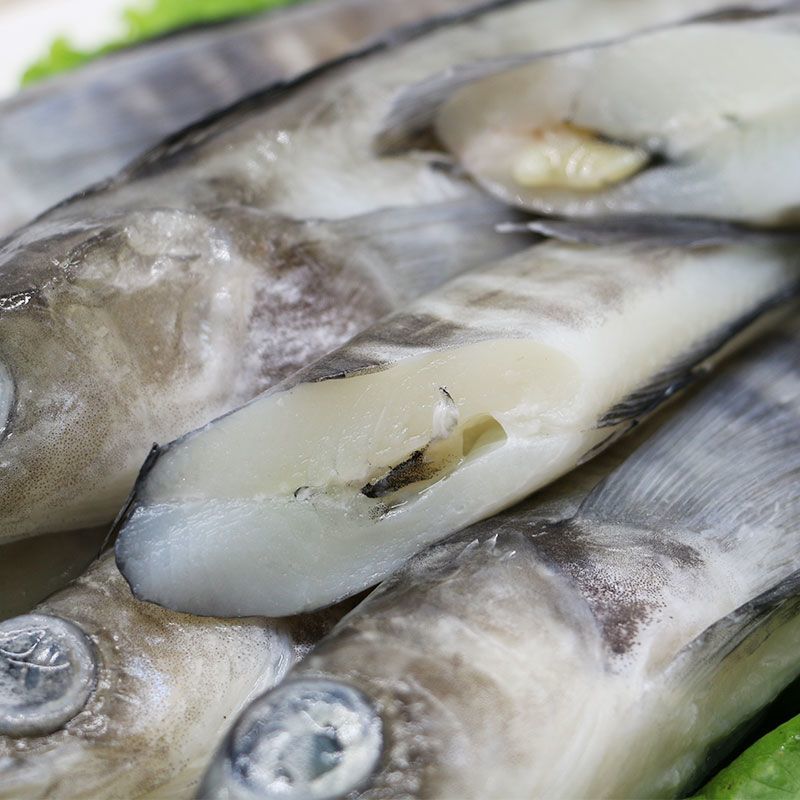 南极冰鱼白冰鱼深海鱼鲜嫩营养丰富新鲜烧烤食材酒店日料同款