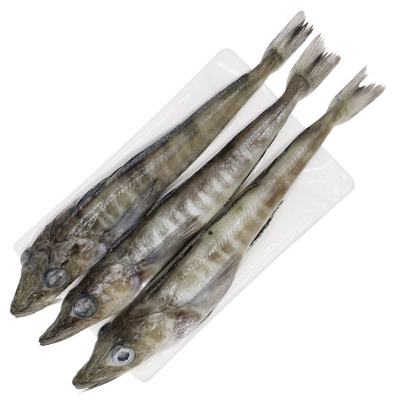 南极冰鱼白冰鱼深海鱼鲜嫩营养丰富新鲜烧烤食材酒店日料同款