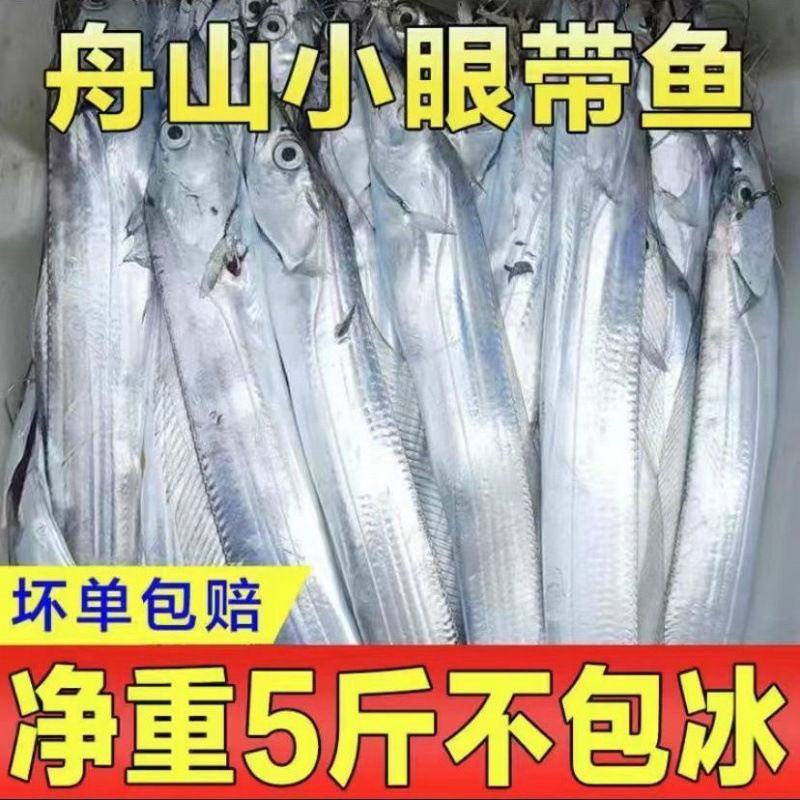 舟山雷达网小眼油带鱼大东海带鱼整条鲜活冷冻海鲜批发水产
