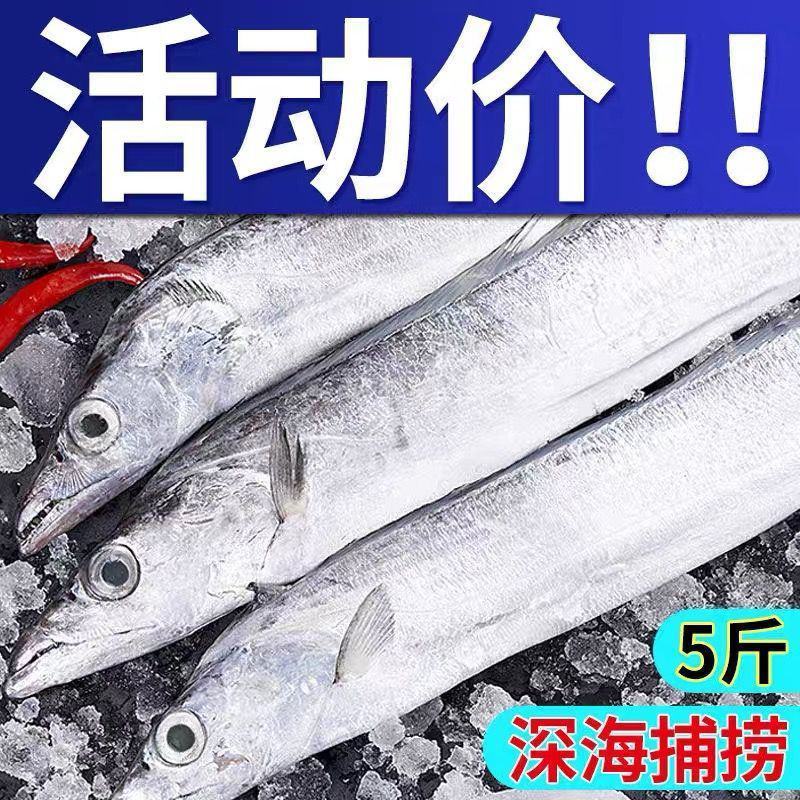舟山雷达网小眼油带鱼大东海带鱼整条鲜活冷冻海鲜批发水产