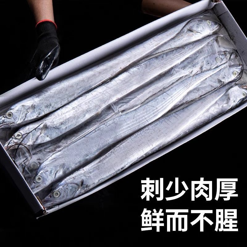 舟山雷达网小眼油带鱼大东海带鱼整条鲜活冷冻海鲜批发水产