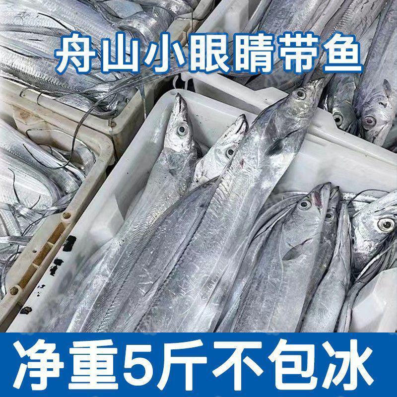 舟山雷达网小眼油带鱼大东海带鱼整条鲜活冷冻海鲜批发水产