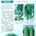 丝瓜种子硬果亲田鼎牌新型三倍体杂交种增产一倍