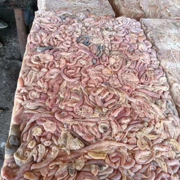 干板肉鸡肠