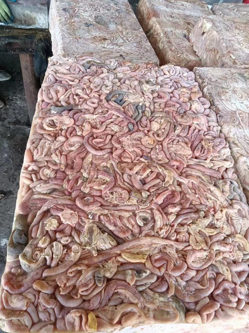 干板肉鸡肠