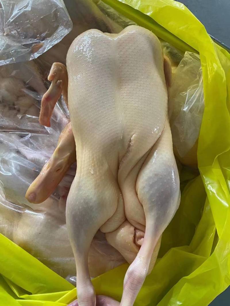 山东全鸭北方俗称雁鹅全净膛半净膛都有肉质鲜美货源充足