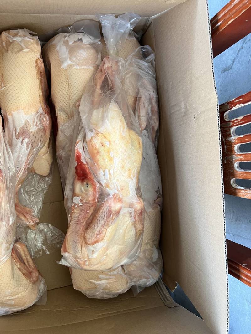 山东全鸭北方俗称雁鹅全净膛半净膛都有肉质鲜美货源充足