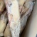 山东全鸭北方俗称雁鹅全净膛半净膛都有肉质鲜美货源充足