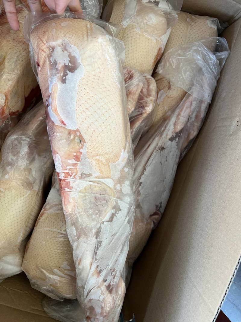 山东全鸭北方俗称雁鹅全净膛半净膛都有肉质鲜美货源充足