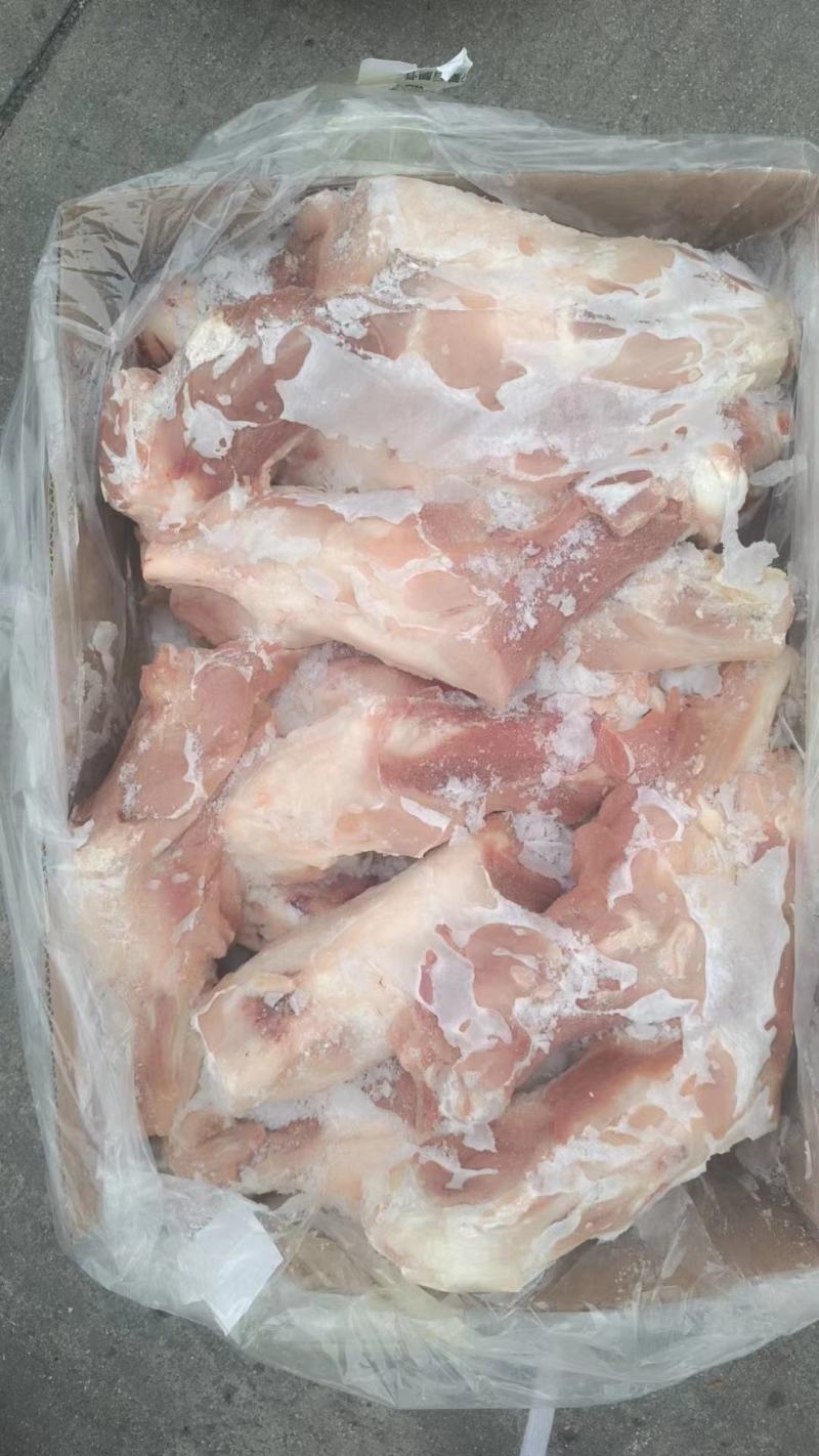 带腱后腿骨