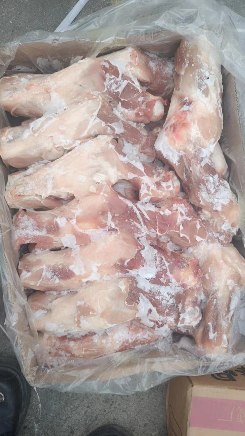 带腱后腿骨