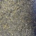 黄芩沫打粉养殖专用保质保量