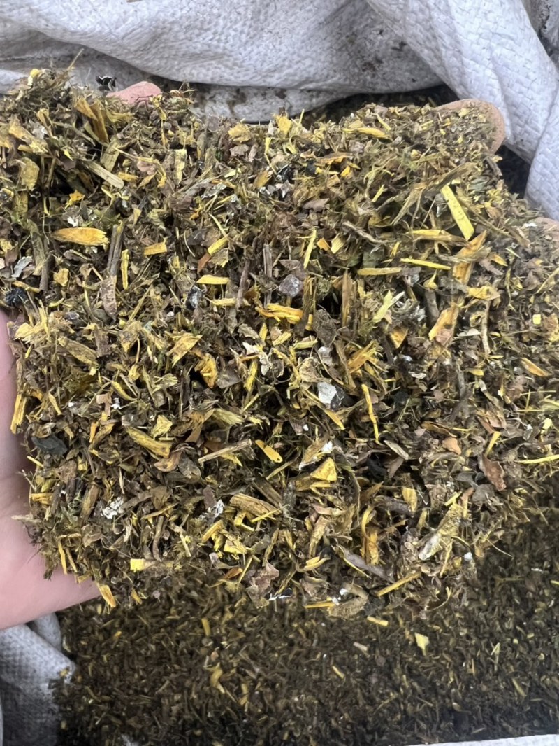 黄芩沫打粉养殖专用保质保量