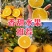 赣南脐橙一件代发