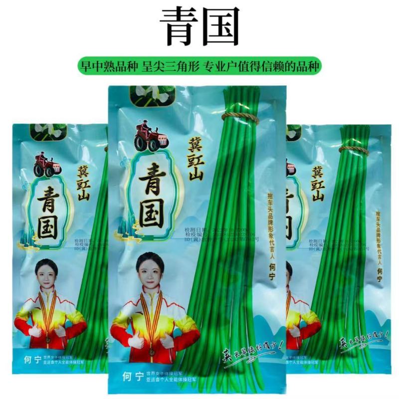 长豇豆种子