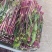 威远本地精品红油菜苔