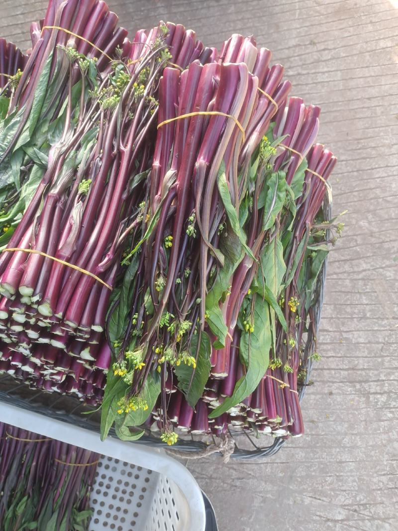 威远本地精品红油菜苔