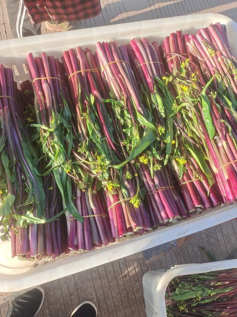 威远本地精品红油菜苔