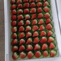 邳州港上草莓大量上市中，有需要的可以合作一手货源