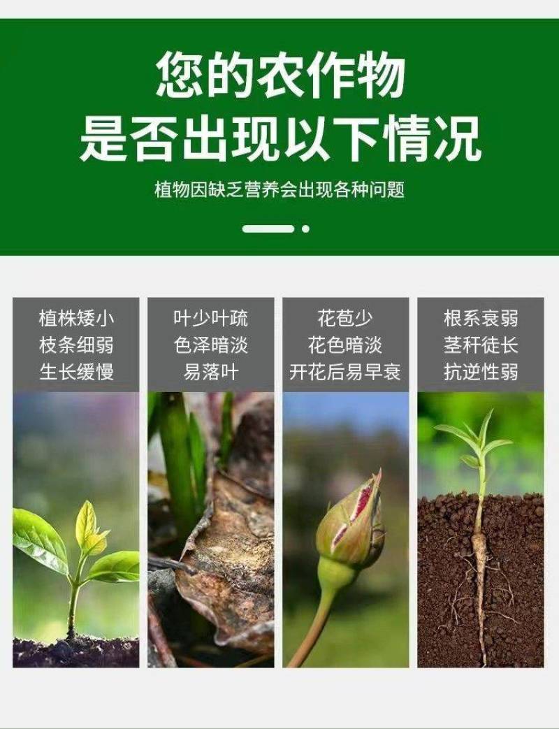 陶氏益农生根菌肥10亿活菌黄腐酸钾氨基酸海藻酸鱼肽蛋白
