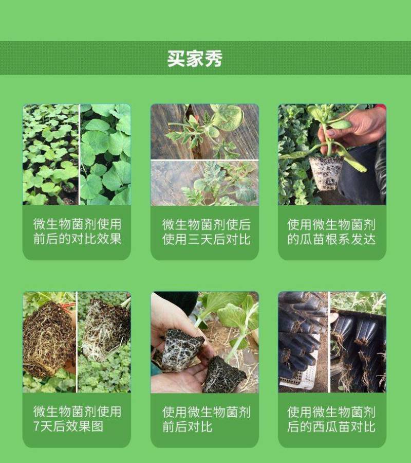 陶氏益农生根菌肥10亿活菌黄腐酸钾氨基酸海藻酸鱼肽蛋白