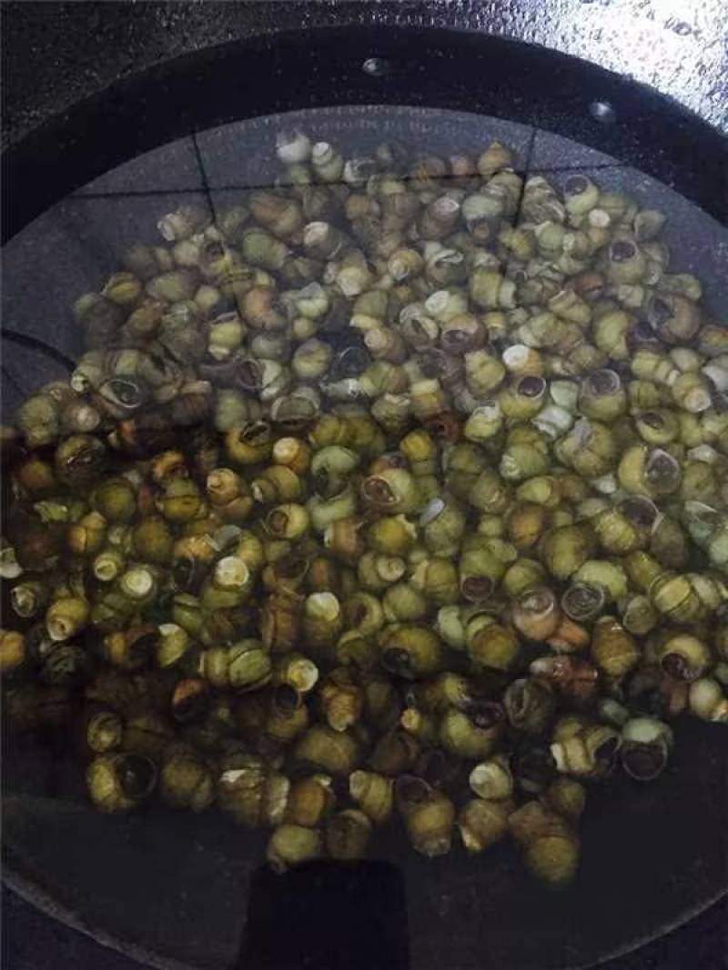 长年供应优质螺狮～河蚌货源充足量大从优欢迎老板选购可视频