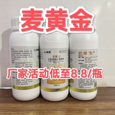 麦黄金小麦专用增产防冻促杆促分蘖抗倒伏增产粒饱叶面