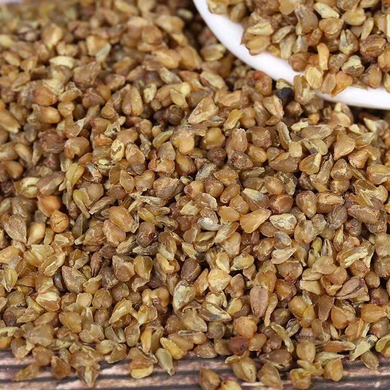 云南昆明苦荞大量上市中自家一手货源欢迎全国老板采购