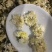 干菊花大量有货诚信经营品质保证欢迎老板电话联系