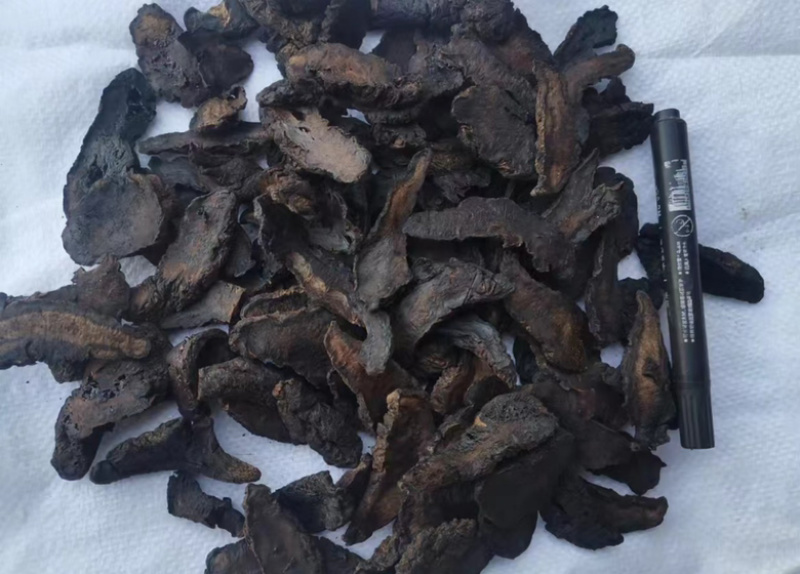 地黄种植基地大量有货品质保证量大从优欢迎老板电话联系