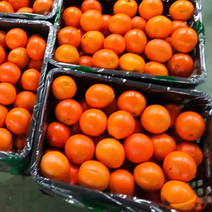 奉节脐橙高次果，皮薄肉厚大量供应品质可视频