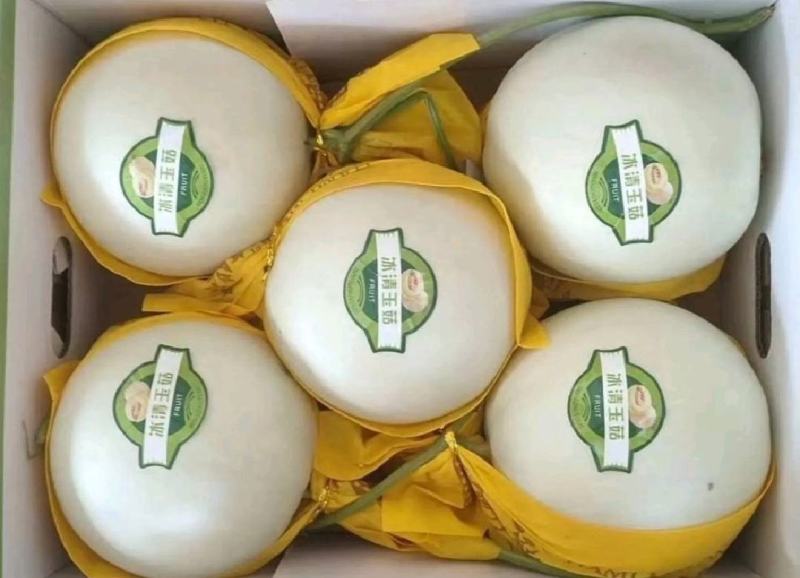 玉菇甜瓜精品白玉菇甜瓜奶香密可对接各大电商平台