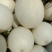 玉菇甜瓜精品白玉菇甜瓜奶香密可对接各大电商平台