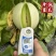 玉菇甜瓜精品白玉菇甜瓜奶香密可对接各大电商平台
