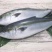 黄金鲅鱼