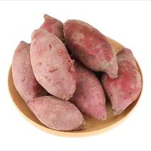 贵州紫薯